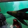 Ekologická exkurze ZOO Liberec